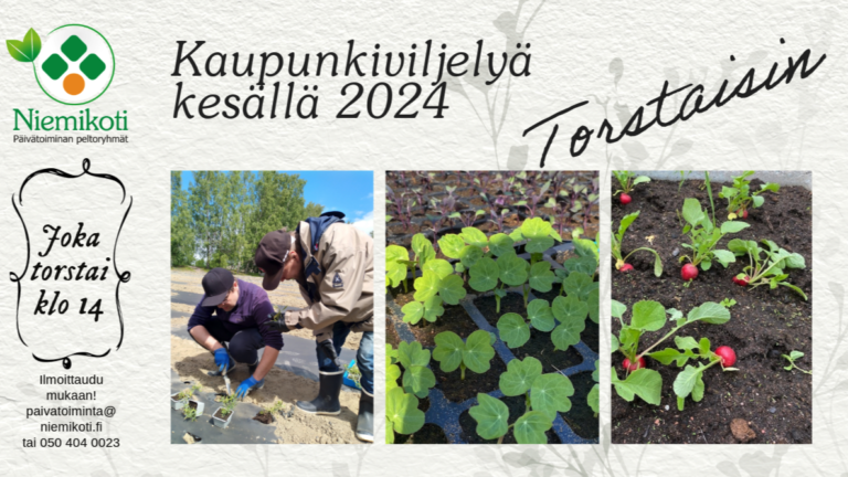 Kaupunkiviljely Malmilla