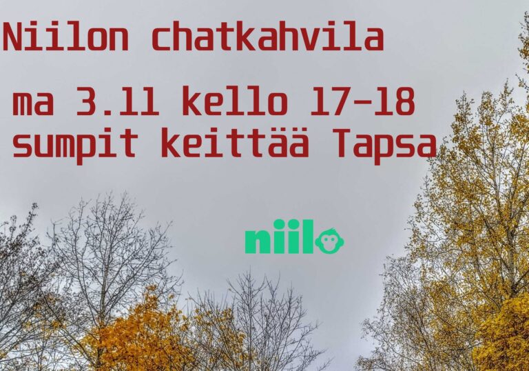 Niilon chatkahvila 3.11. klo 17-18